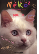 NEKO2 2(ビッグコミックス)