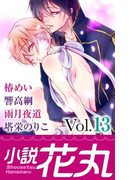 小説花丸 Vol.13(小説花丸)