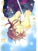 夜明けへの閃光(バーズコミックス リンクスコレクション)