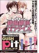 GUSHpit 絶倫絶頂パラダイス~抜かずの3発、怒涛の24連発!!~