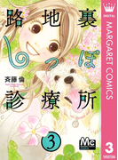 路地裏しっぽ診療所 3(マーガレットコミックスDIGITAL)