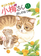 キジトラ猫の小梅さん(11)(ねこぱんちコミックス)