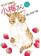 キジトラ猫の小梅さん(14)(ねこぱんちコミックス)