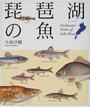 琵琶湖の魚