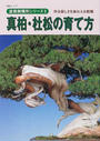 真柏・杜松の育て方