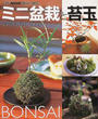 ミニ盆栽と苔玉