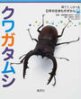 クワガタムシ
