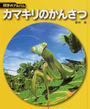 カマキリのかんさつ