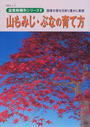 山もみじ・ぶなの育て方