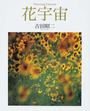 花宇宙