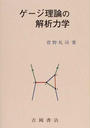 ゲージ理論の解析力学