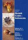 Common Littoral Hermit Crabs of Indonesia