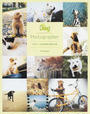Dog Photographer
