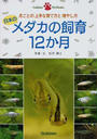 日本のメダカの飼育12か月