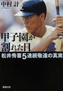 甲子園が割れた日