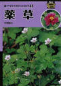 薬草