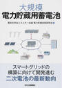 大規模電力貯蔵用蓄電池
