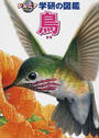 鳥