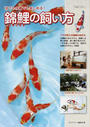 錦鯉の飼い方