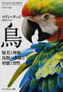 鳥
