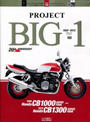 PROJECT Big-1 CB1000‐1300