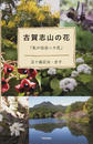古賀志山の花
