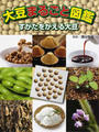 大豆まるごと図鑑