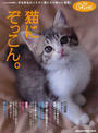 猫にぞっこん。