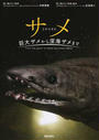 サメ