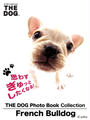 ҤŻҽҤΥϥ֥åɽŹhontoۤ㤨THE DOG Photo Book Collection French BulldogפβǤʤ550ߤˤʤޤ