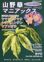 山野草マニアックス