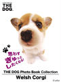 ҤŻҽҤΥϥ֥åɽŹhontoۤ㤨THE DOG Photo Book Collection Welsh CorgiפβǤʤ550ߤˤʤޤ