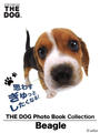 ҤŻҽҤΥϥ֥åɽŹhontoۤ㤨THE DOG Photo Book Collection BeagleפβǤʤ550ߤˤʤޤ