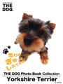 ҤŻҽҤΥϥ֥åɽŹhontoۤ㤨THE DOG Photo Book CollectionYorkshire TerrierפβǤʤ550ߤˤʤޤ