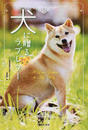 犬に贈るラブレター