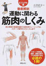 運動に関わる筋肉のしくみ