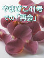 ҤŻҽҤΥϥ֥åɽŹhontoۤ㤨֤ޤӤ41ǤΡֺƲספβǤʤ110ߤˤʤޤ