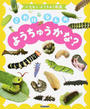 これはなんのようちゅうかな?