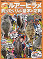 ルアーヒラメ釣りたい人の基本と応用