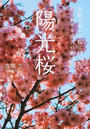 陽光桜