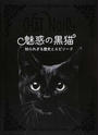 魅惑の黒猫