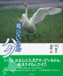 飛べない白鳥ハク