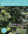 センスがいいとほめられる 植物好きの庭づくり