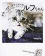 世界一さびしそうな顔の猫ルフちゃん