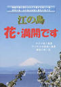 江の島 花・満開です
