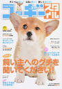 コーギースタイル