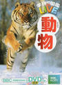 動物