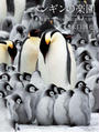 ڥ󥮥γڱ ϵǤäȤ̿ˤդ줿 β