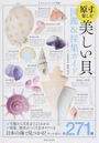 原寸で楽しむ美しい貝図鑑&採集ガイド