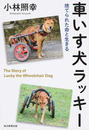 車いす犬ラッキー